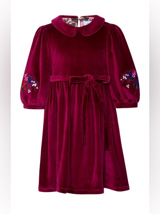 Paade Mode Velvet Enbroidered-Primula Dress